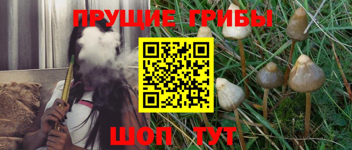 Псилоцибиновые грибы Psilocybe  Вход с VPN  Ростов Великий 